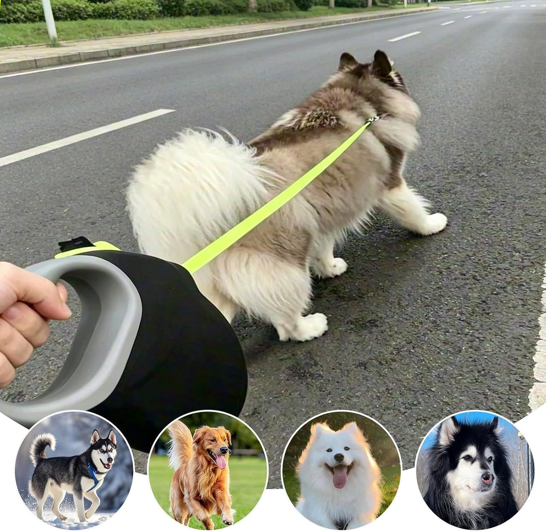 VIYETY 8m Stretch-Hunddeleine: Nylon Doppel-Hundleine, robuste Automatik Hundeleine für mittel/gross