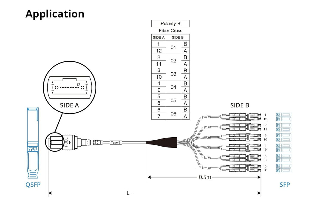 10Gtek MPO (F) to 12x LC OM3 Multi-Mode Fan-Out Patch Cord, 3-Meter(9.8-ft), Breakout 0.5m 3M OM3 MP