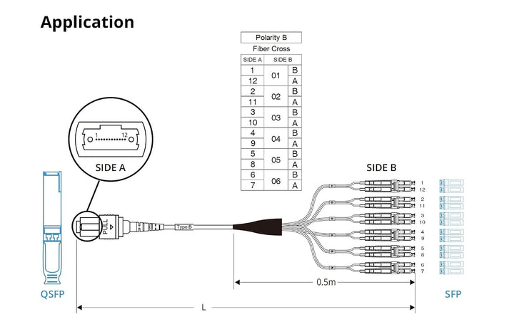 10Gtek MPO (F) to 12x LC OM3 Multi-Mode Fan-Out Patch Cord, 3-Meter(9.8-ft), Breakout 0.5m 3M OM3 MP