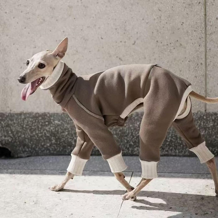 Leichter italienischer Windhund-Pullover, Whippet-Kleidung mit Beinen, winddichter Rollkragen-Hunde-