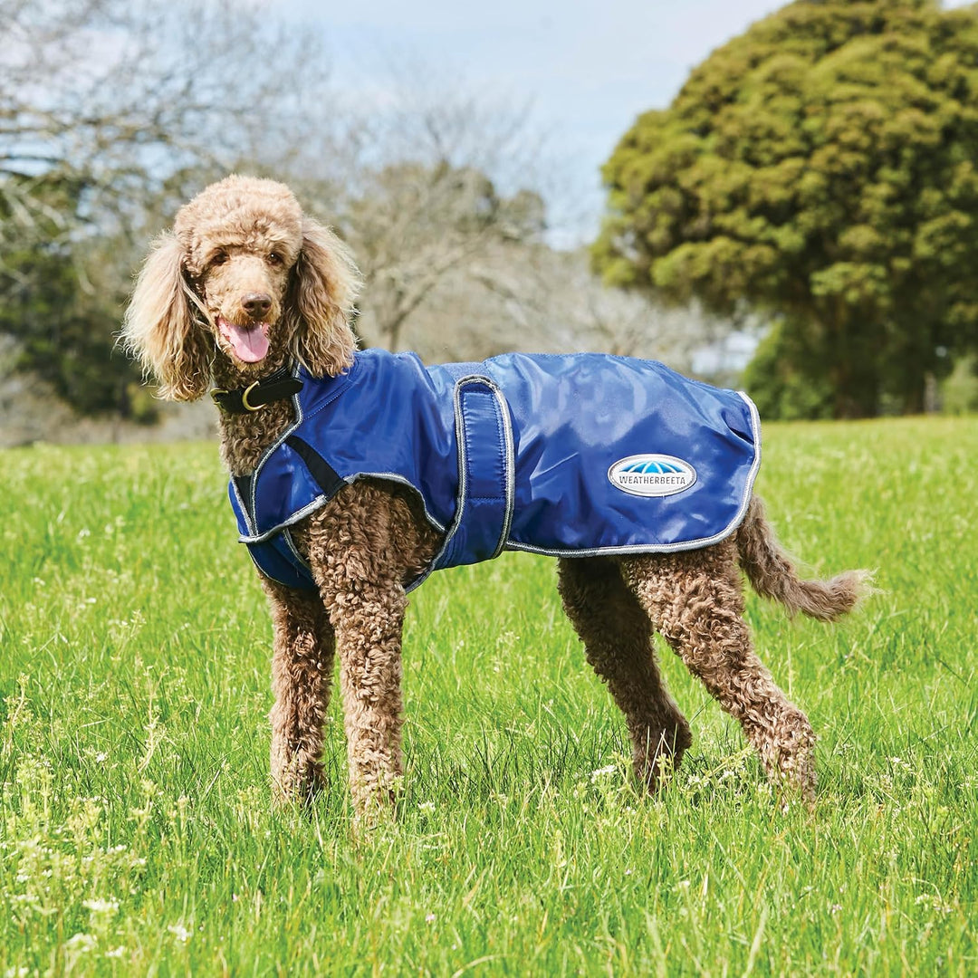 Weatherbeeta 2022 Comfitec Windbreaker Free Deluxe Hundemantel 1003914 - Dunkelblau/Grau/Weiss - 25
