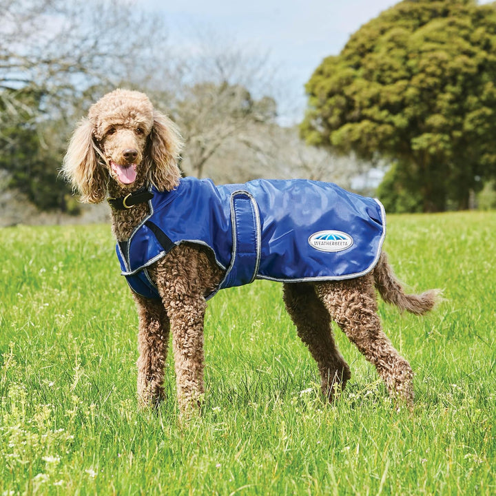 Weatherbeeta 2022 Comfitec Windbreaker Free Deluxe Hundemantel 1003914 - Dunkelblau/Grau/Weiss - 25