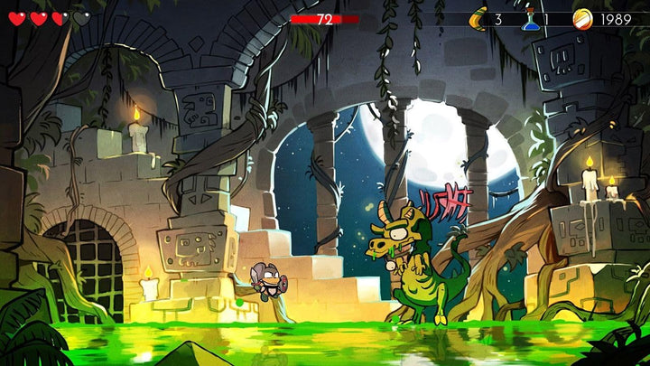 Wonder Boy: The Dragon&