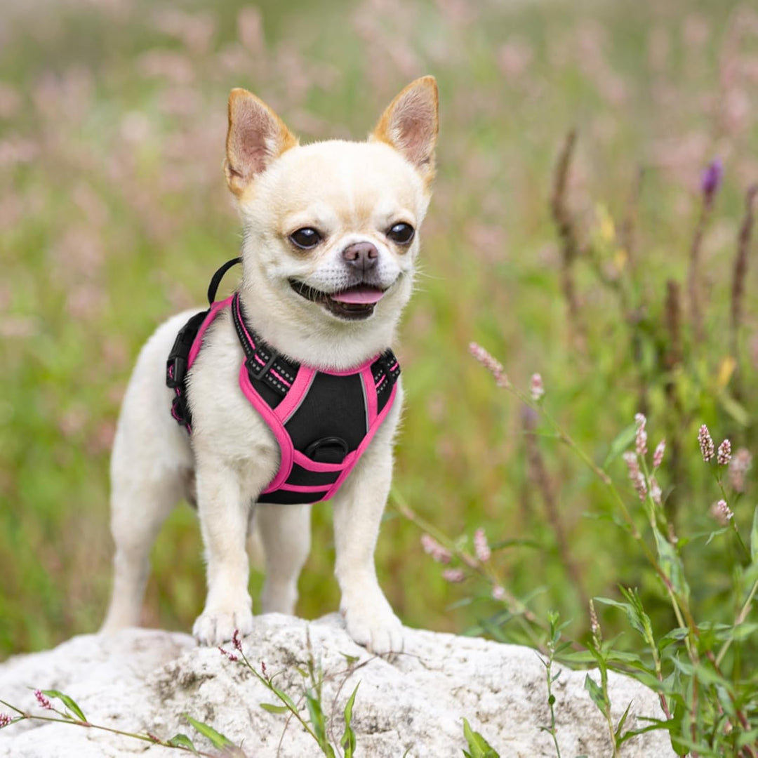 rabbitgoo Hundegeschirr Mittelgrosse Hunde, Anti Zug Geschirr mit Kontrolle, No Pull Verstellbar Hun