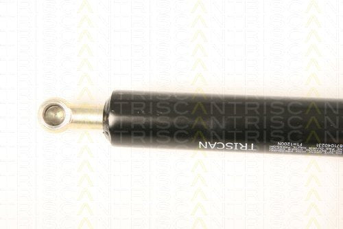 Triscan 871040231 Gasfeder Kofferraum