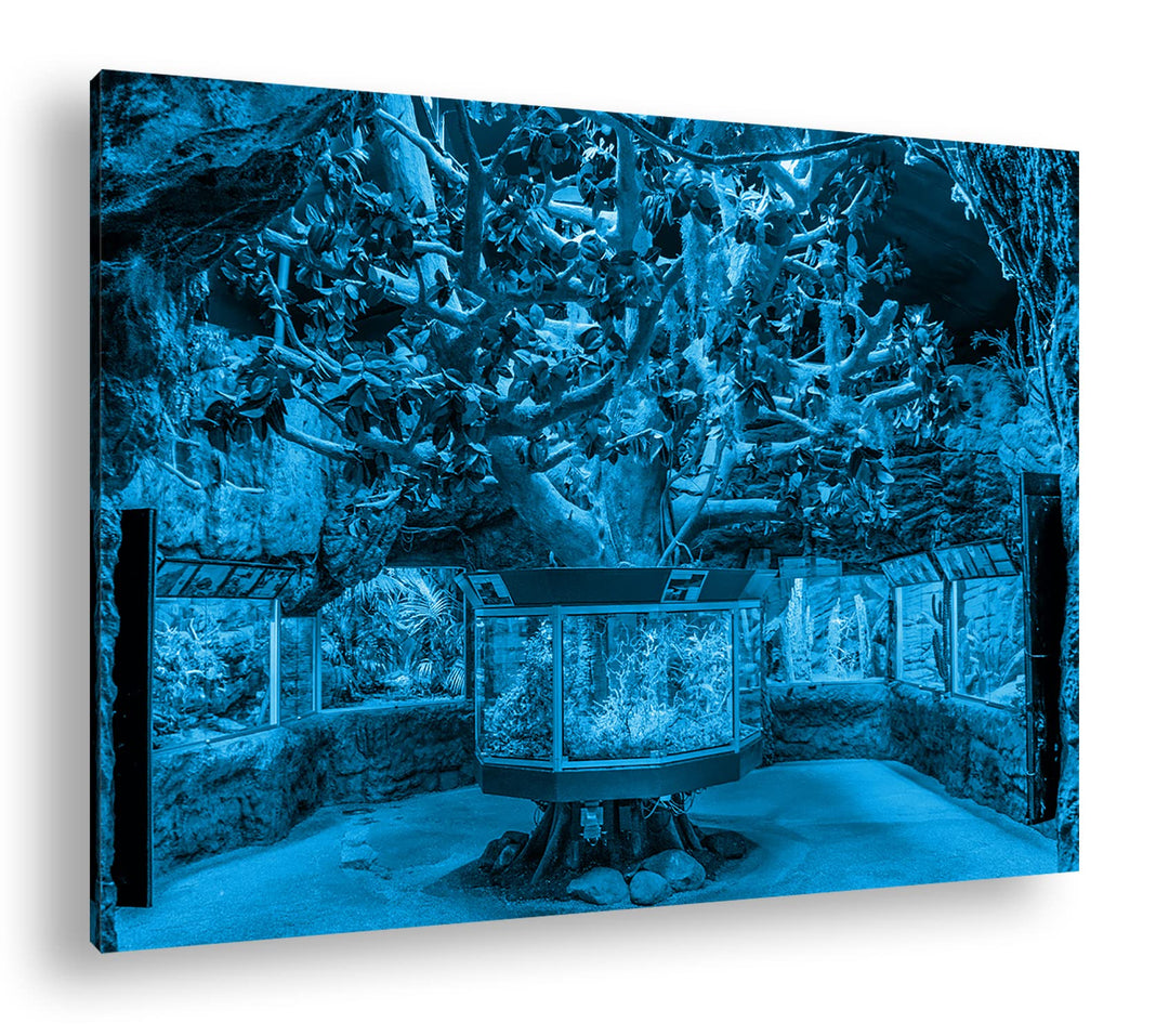 deyoli bezauberndes Aquarium mit Fischen Format 80x60 Effekt: Monocrome Blau als Leinwandbild, Motiv