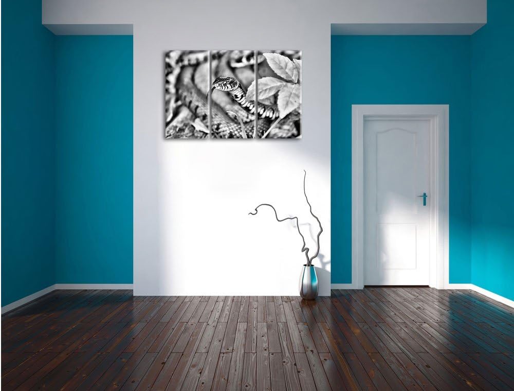 Pixxprint beeindruckende Schlange als Leinwandbild | Grösse: 3 Teilig (120x80) | Wandbild| Kunstdruc