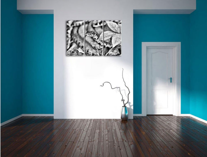 Pixxprint beeindruckende Schlange als Leinwandbild | Grösse: 3 Teilig (120x80) | Wandbild| Kunstdruc