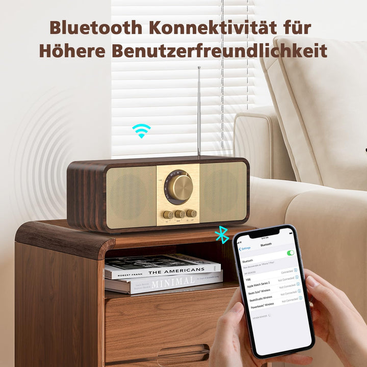 Nostalgie Radio, Retro Radios mit Bluetooth und TF Karte