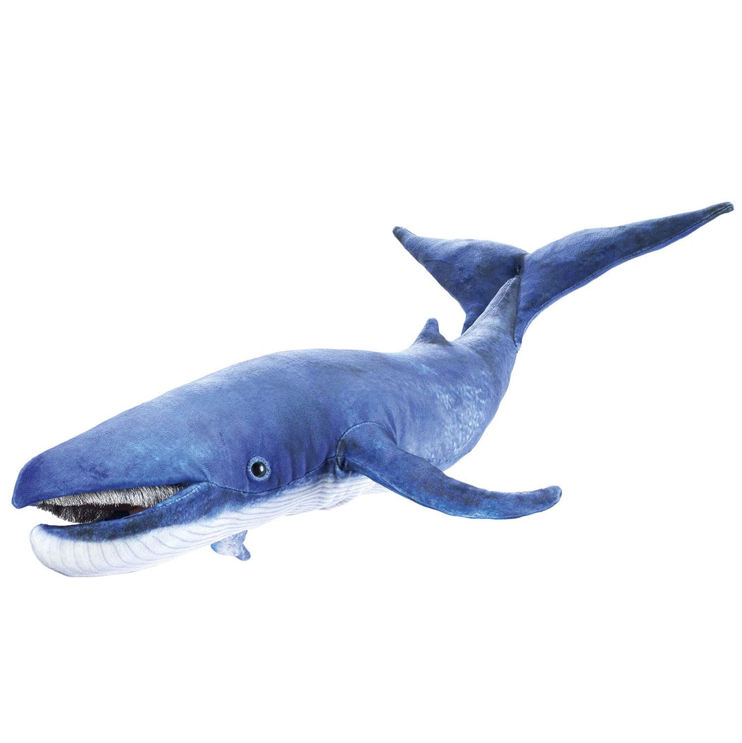 Blauwal/Blue Whale