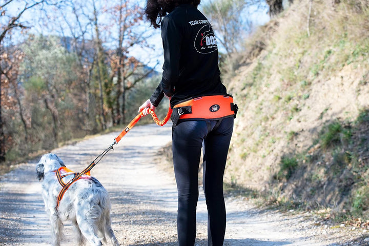 i-Dog CANICROSS One Light, ideal für leichte Schablonen und Kinder, Farbe Orange, Einheitsgrösse