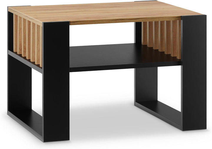 defiPad® Couchtisch mit Stauraum | 65CM Breite Kaffeetisch mit Lammelas | Modern Wohnzimmertisch Eic