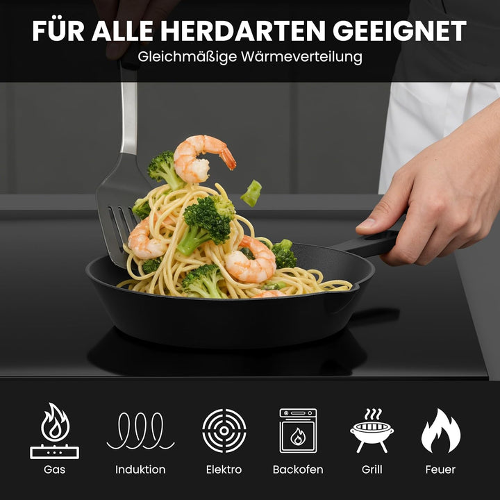 HOMELUX 20 cm Gusseisenpfanne, Eingebrannte Pfanne für Induktion 20cm, 20cm