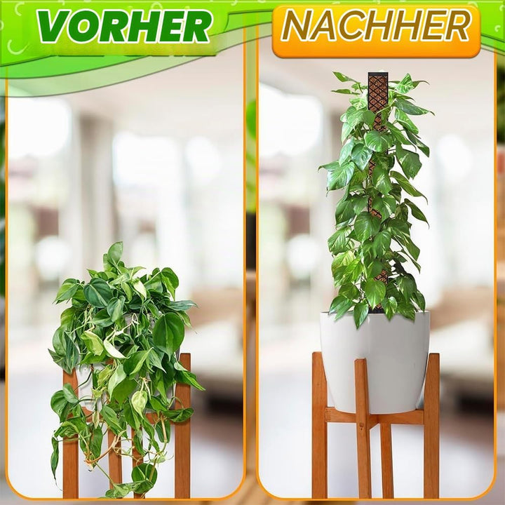 6pcs Moosstab für Monstera Rankhilfe, Selbstbewässerung Moosstab,mit Giesshilfe und Kabelbinder, Pfl