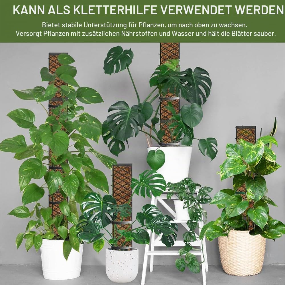 6pcs Moosstab für Monstera Rankhilfe, Selbstbewässerung Moosstab,mit Giesshilfe und Kabelbinder, Pfl