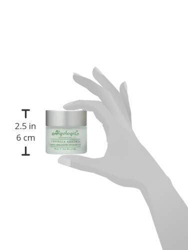 ALGOLOGIE Concealer, 50 ml