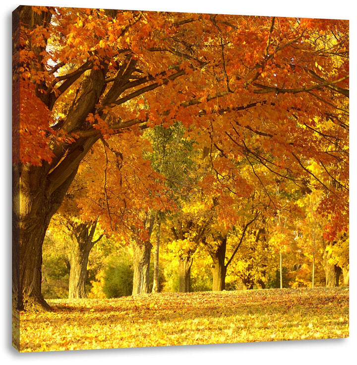 schöne Herbstlandschaft, Format: 70x70 auf Leinwand, XXL riesige Bilder fertig gerahmt mit Keilrahme
