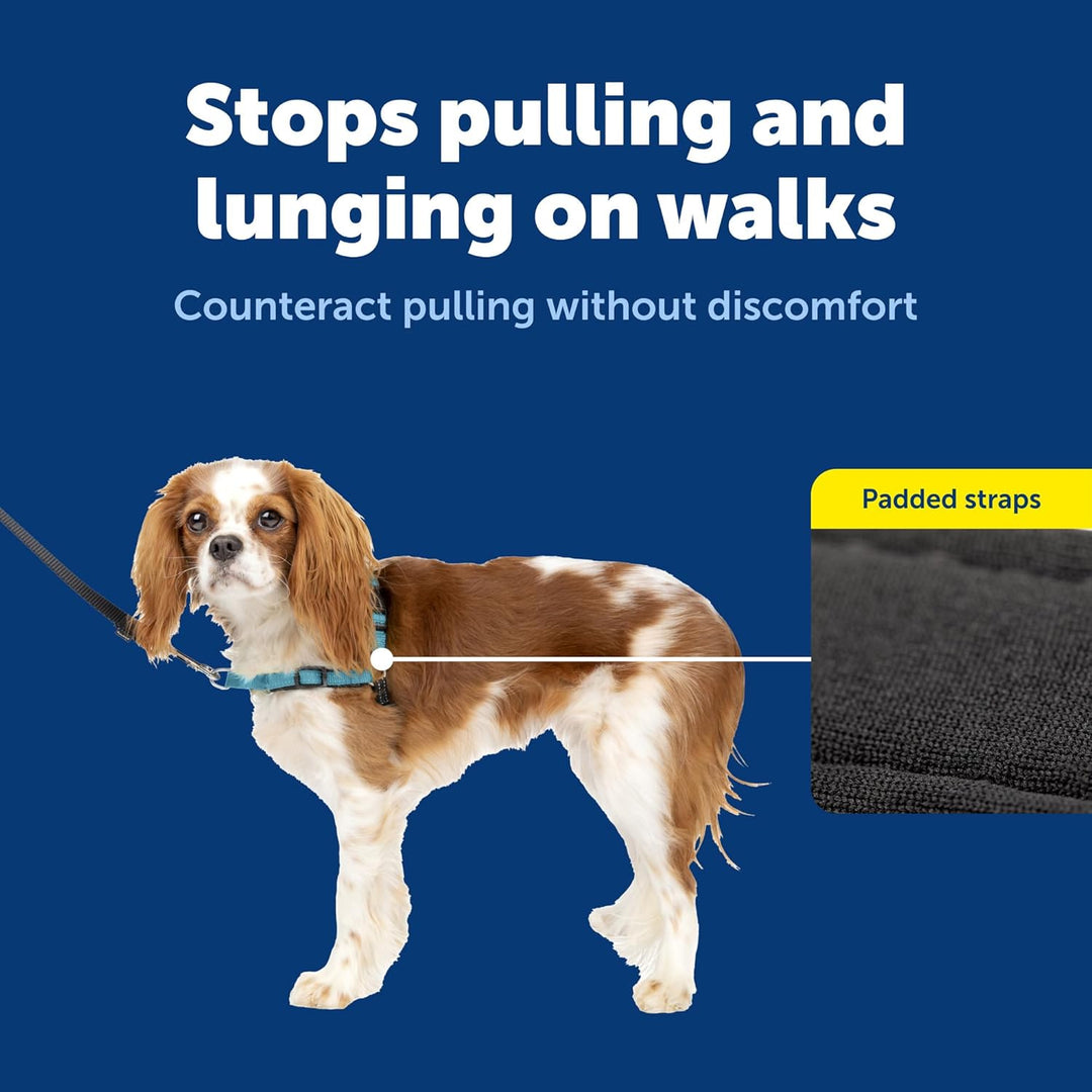 PetSafe Deluxe Easy Walk Hundegeschirr Meer Small, Meer Small