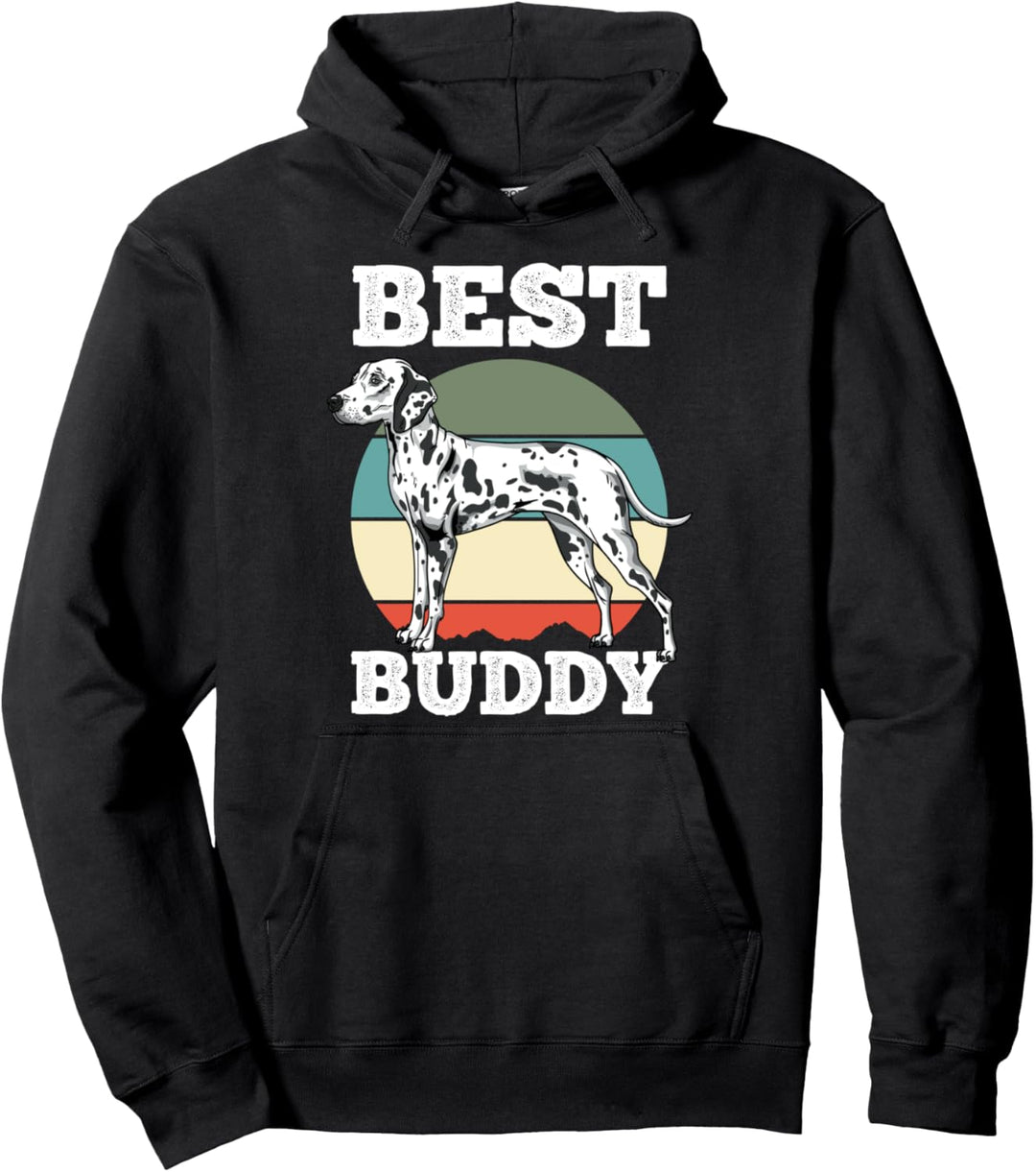 Dalmatiner Hundehalter Züchter Hundefreunde Pullover Hoodie