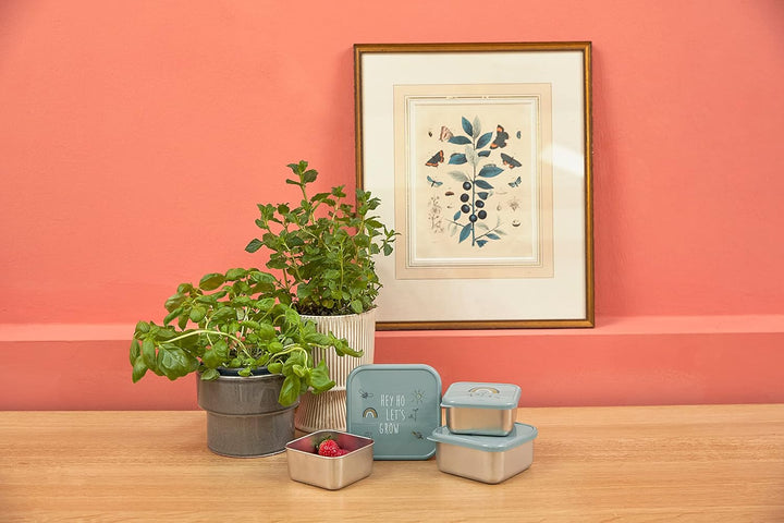 LÄSSIG Snackbox 3er Set Edelstahl 3 Stück Garden Explorer Grün, Gr&amp;