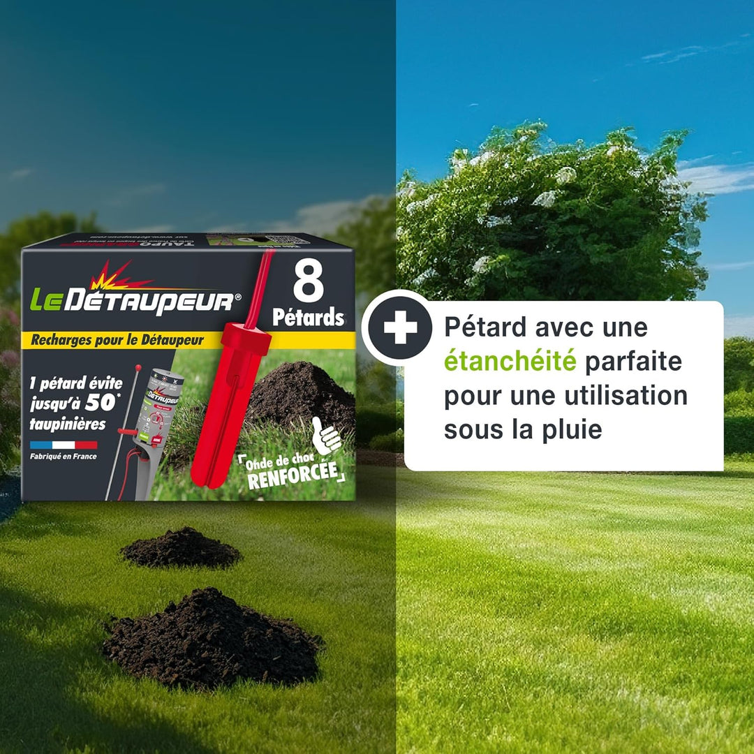SBM DETAUPEUR RECHARGEX8 RECHARG8