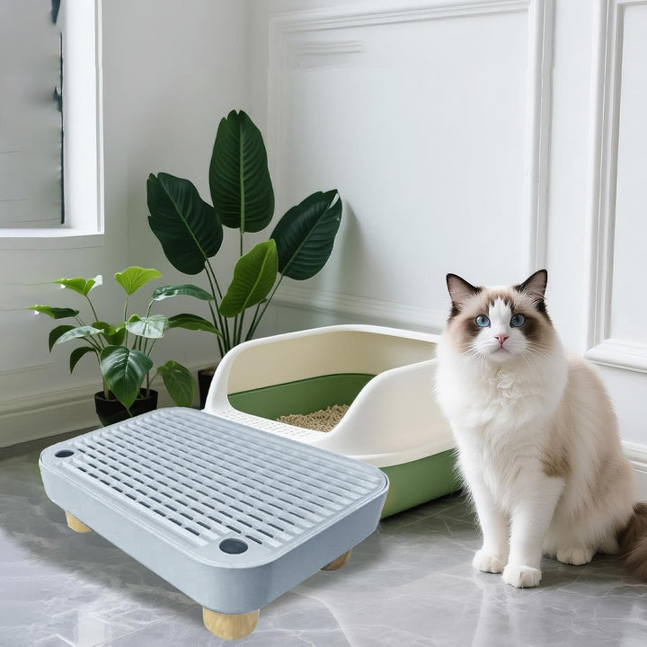 Stufe Für Die Katzenstreu,Kätzchen Katzenklo Treppe Mit Filterfunktion | Abnehmbare Kätzchen Katzenk