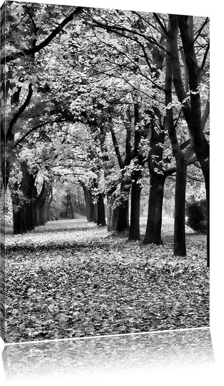 Pixxprint Baumallee im Herbst / 100x70cm Leinwandbild bespannt auf Holzrahmen/Wandbild Kunstdruck De