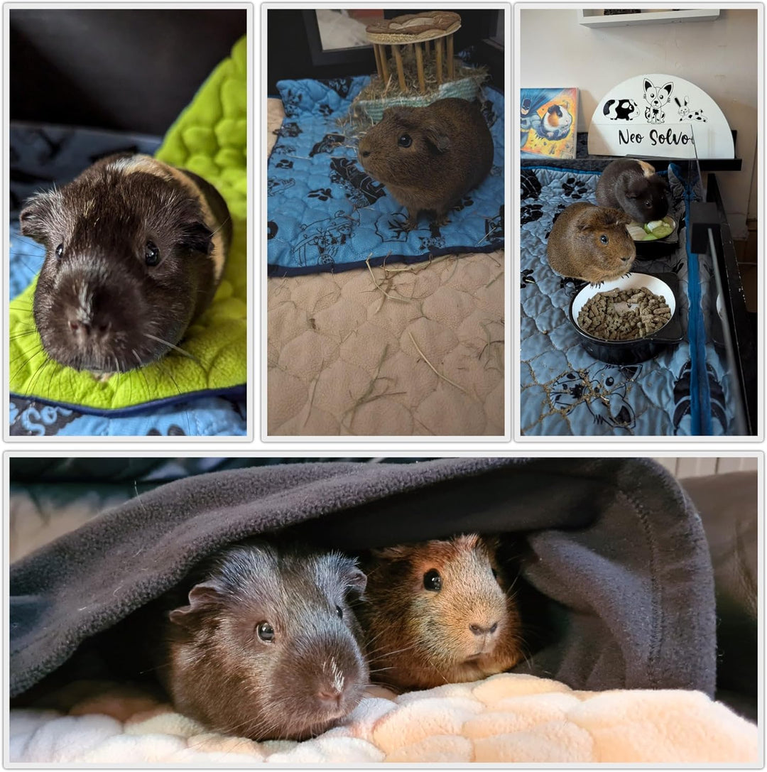 Käfigeinlage für Kaninchen und Meerschweinchen - perfekte Einstreu für Innenkäfige und C&amp;C - saugfäh