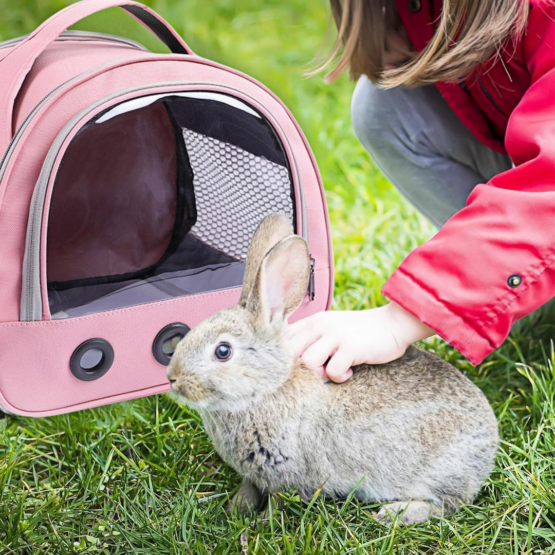 Kleine Haustier-Tragetasche, Transportbox Für Kleintiere, KatzeTransportbox Mit Schultergurt, Meersc