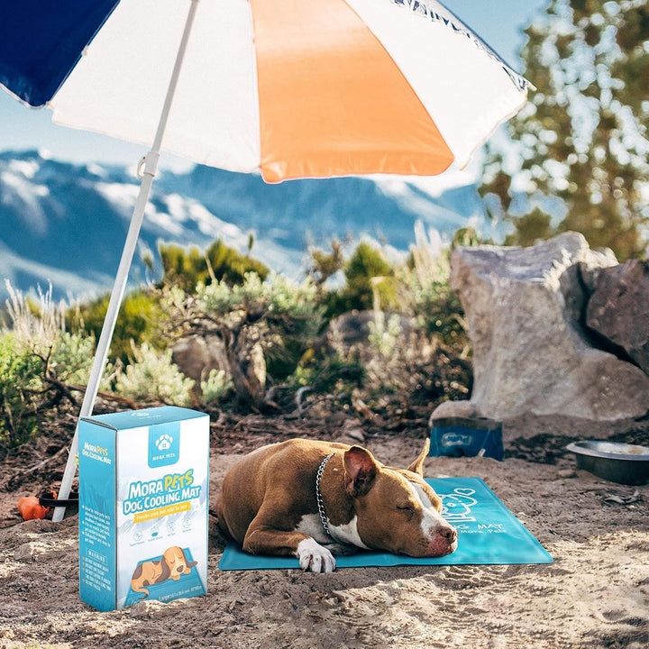 Pawtasy Kühlmatte Hunde Katzen Kühldecke für Hunde Kühlkissen mit Ungiftiges Gel für Klein Haustiere