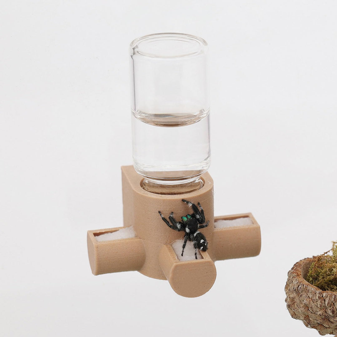 Springspinnen-Wasserspender, magnetischer Futterspender zum Aufhängen, geeignet für Springspinnen, V
