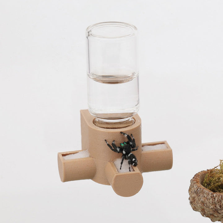 Springspinnen-Wasserspender, magnetischer Futterspender zum Aufhängen, geeignet für Springspinnen, V