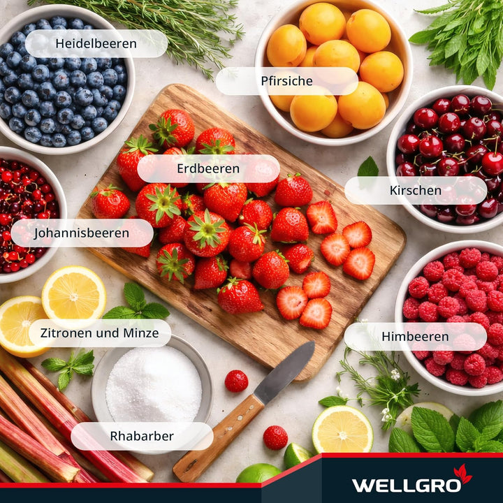 WELLGRO 50x Einmachgläser 230ml – Schraubdeckel TO82 rot kariert – Made in Germany – Vorratsgläser,