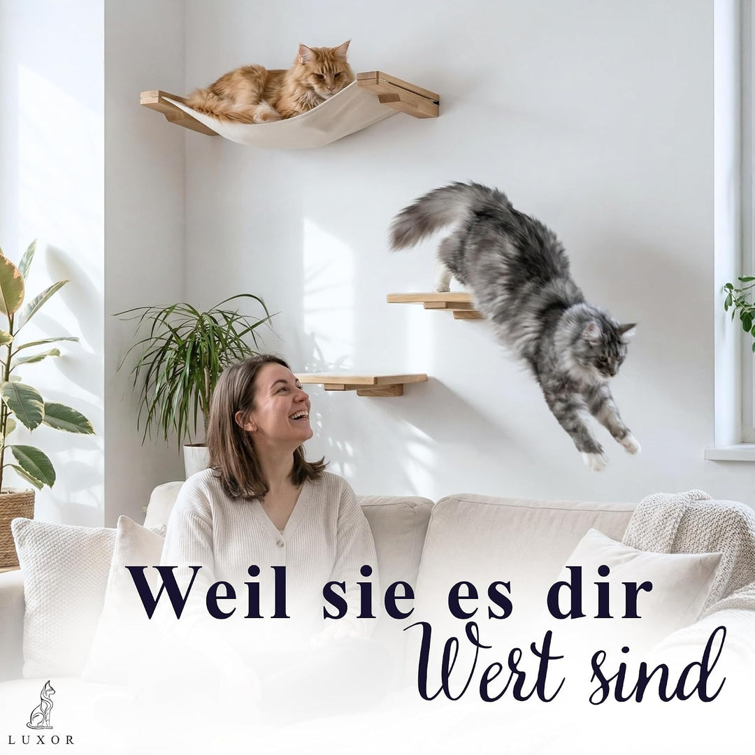 LUXOR Kletterwand Katzen Hängematte inkl. 2X Katzentreppe Wand &amp; Befestigungsmaterial - Stabilität u