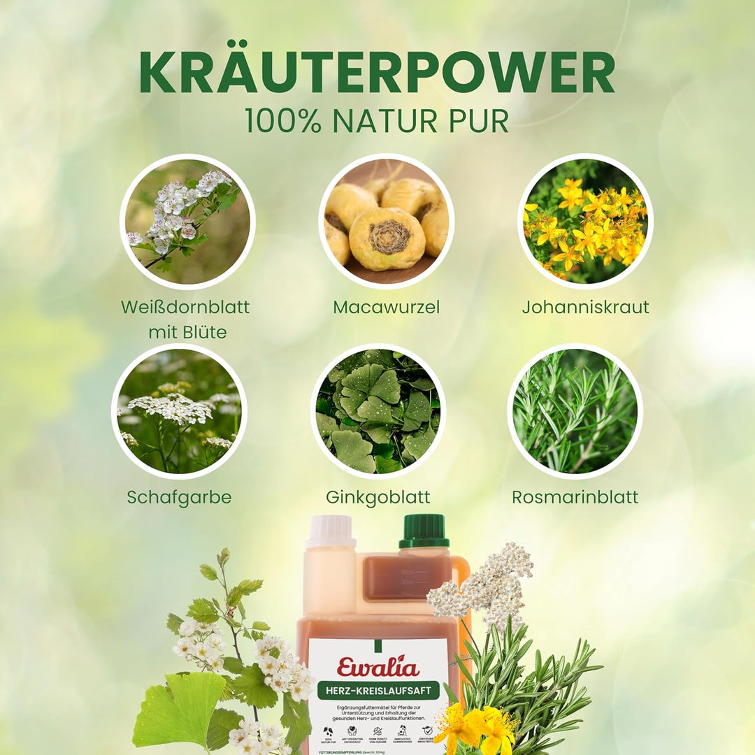 generisch Ewalia Herz-Kreislaufsaft für Pferde - Doppelpack - 2 x 1L 2er Pack, 2er Pack