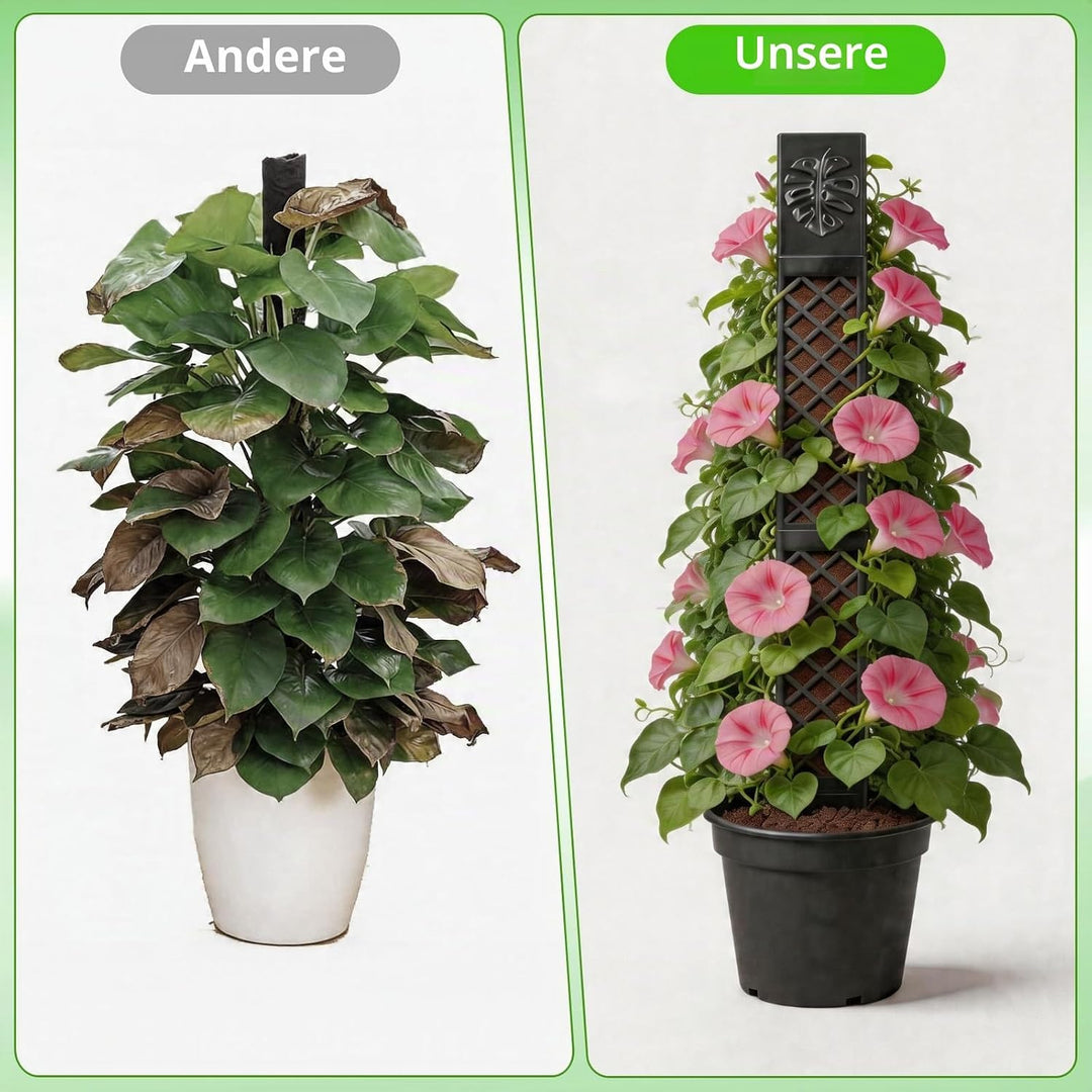 4 Pcs Moosstäbe für Monstera, Erweiterbare Pflanzenstütze, Moss Pole