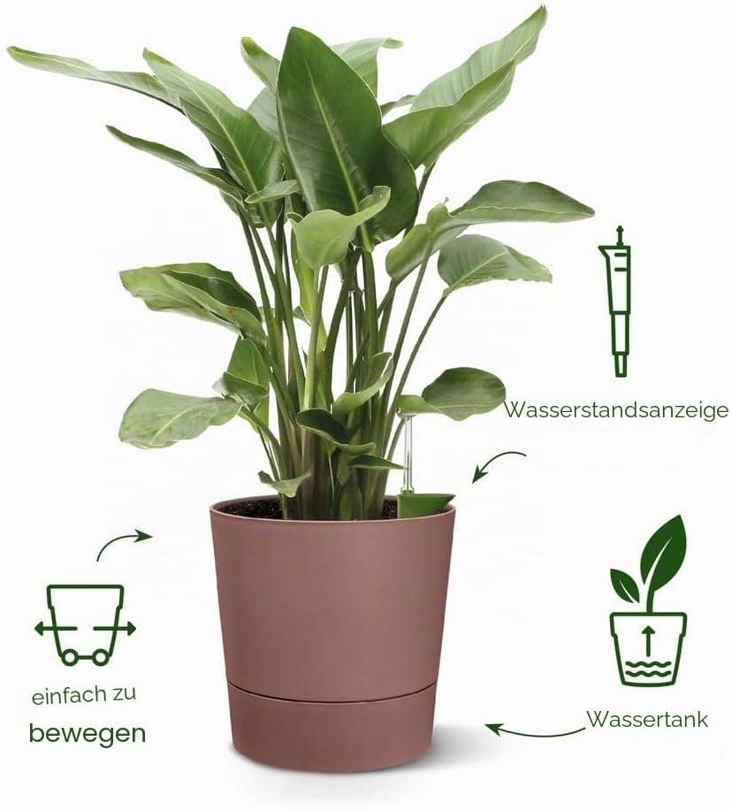 elho Greensense Aqua Care Rund 30 mit Integrierte Wasserspeicher - Blumentopf für Innen &amp; Aussen - 1