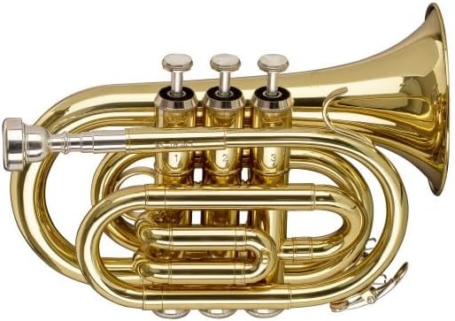Stagg WS-TR245S B-Taschentrompete im Softcase