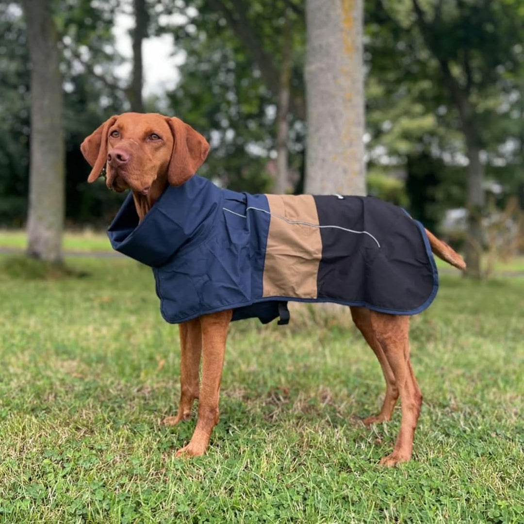Spark Paws Hunderegenmantel, wasserdichte Winddichte Regenjacke Blue Gold Black L, Blue Gold Black L