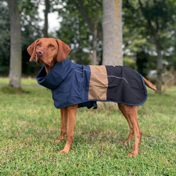 Spark Paws Hunderegenmantel, wasserdichte Winddichte Regenjacke Blue Gold Black L, Blue Gold Black L