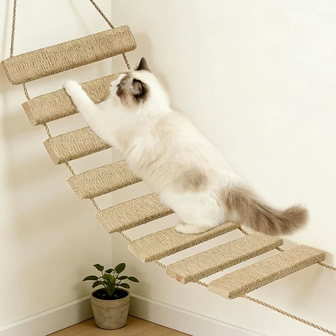 Katzenleiter 150 cm, 3-in-1 Katzenleiterbrücke Wand aus Holz &amp; Sisalseil | Katzenbrücke Wand Katzent