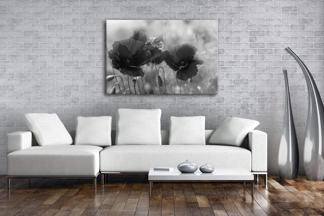 deyoli bezaubernde Mohnblumen Format: 80x60 Effekt: Schwarz&amp;Weiss als Leinwandbild, Motiv fertig ger
