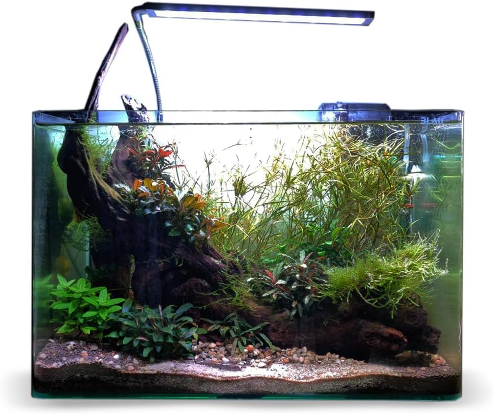 Blau Aquaristic - Aquarium Set Cubic 3118