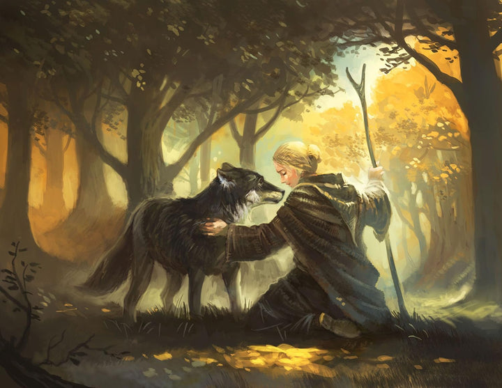 KOSMOS Die Legenden von Andor - Der Sternenschild Erweiterung Der Sternenschild, Erweiterung Der Ste