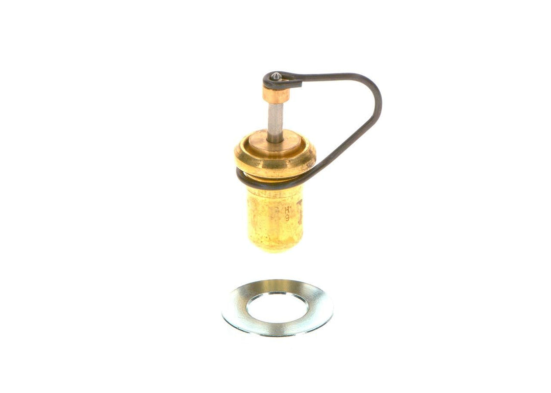 Bosch F026T03038 Thermostat