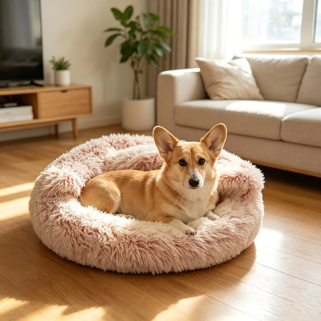 Flauschig Haustierbett Waschbar Katzenbett Hundebett Plüsch Katzenkissen Warm Kuschelbett mit Kapuze
