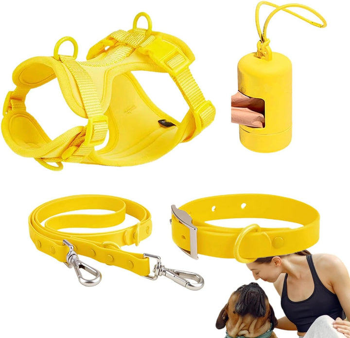 Hundegeschirr-Set, mittelgrosse Hunde, Haustiergeschirr, Halsband und Leine, Hundegeschirr mit Leine