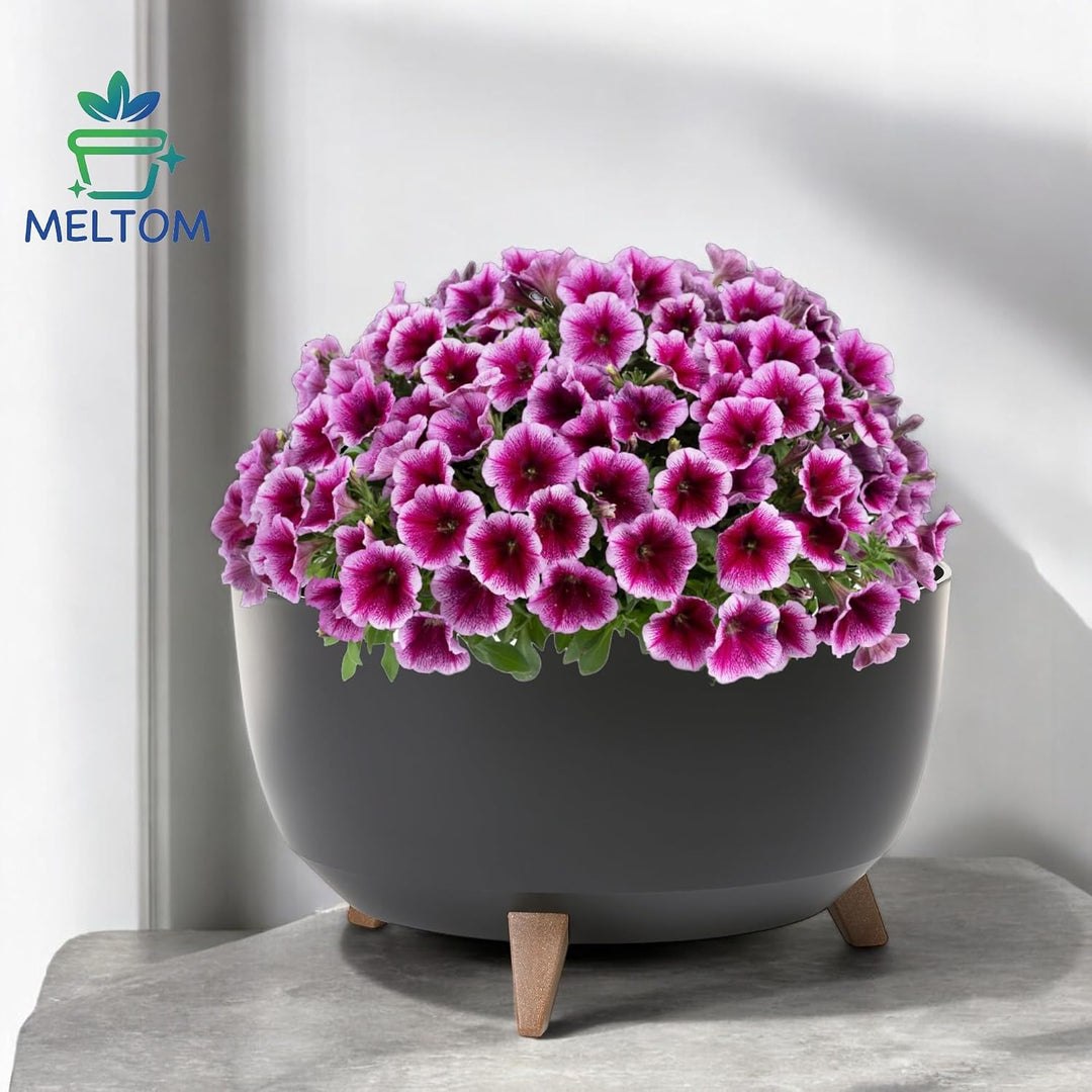 MELTOM Blumentopf XL mit Füssen aus Kunststoff Schale Rund mit Einsatz, Farbe Schwarz, H: 27 cm, D: