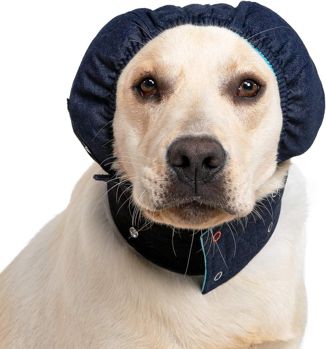 MPS Head Cover für Hund - XL, Mit Cover Pad, XL