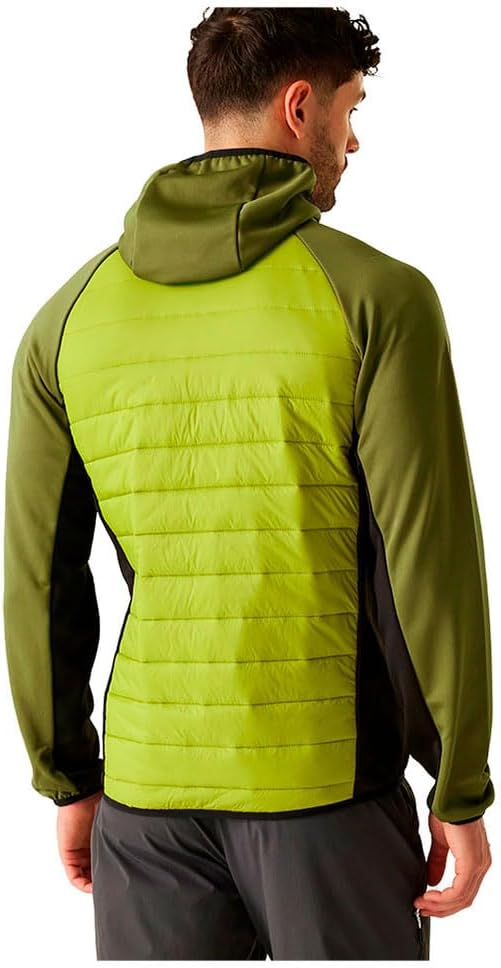 Regatta Herren Softshelljacke mit Kapuze, gepolstert, 1 Stück L Lime, L Lime